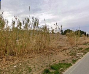 Terreno rural en venta en Cieza, Cieza