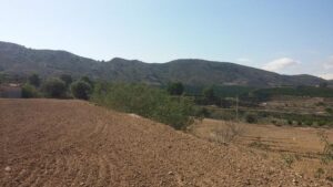 Terreno rural en venta en Desamparados, Orihuela