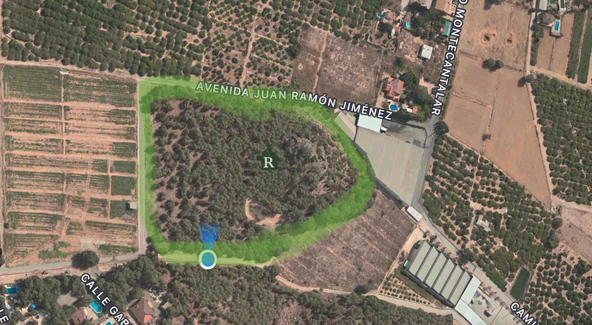 Terreno rural en venta en El Cantalar, El Esparragal