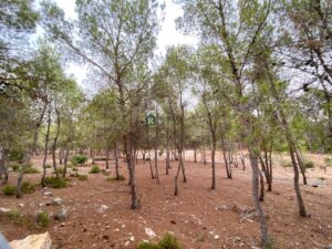 Terreno rural en venta en El Cantalar, El Esparragal