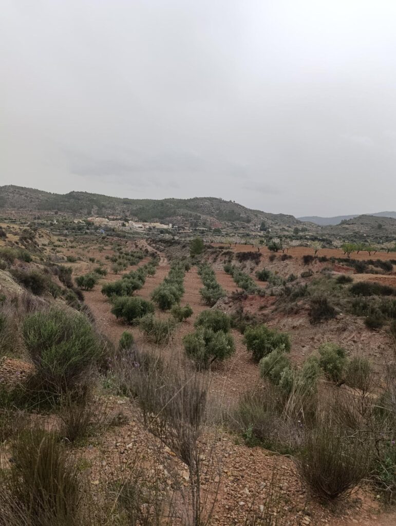 Terreno rural en venta en El chaparral, Cehegin