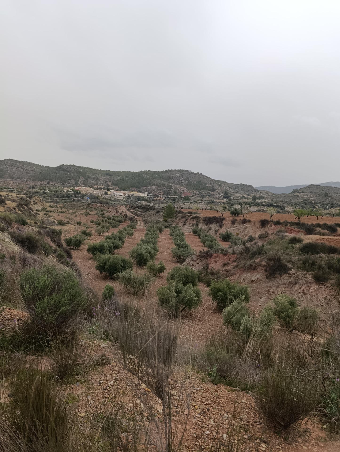 Terreno rural en venta en El chaparral, Cehegin