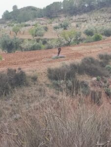 Terreno rural en venta en El chaparral, Cehegin