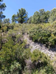 Terreno rural en venta en El chaparral, Cehegin