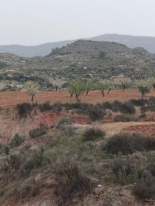 Terreno rural en venta en El chaparral, Cehegin