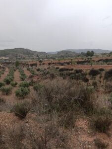 Terreno rural en venta en El chaparral, Cehegin