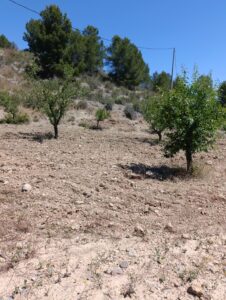 Terreno rural en venta en El chaparral, Cehegin