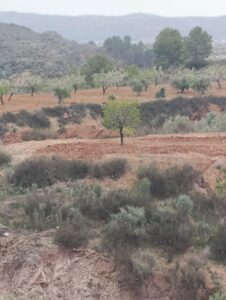 Terreno rural en venta en El chaparral, Cehegin