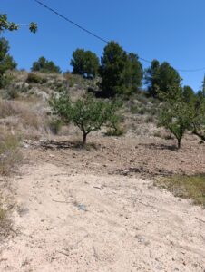 Terreno rural en venta en El chaparral, Cehegin