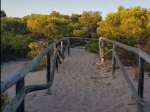 Terreno rural en venta en Elche, Elche