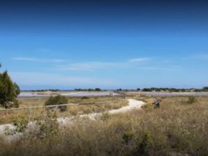 Terreno rural en venta en Elche, Elche