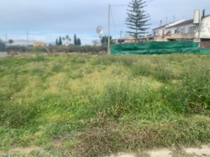 Terreno rural en venta en HUERTA, EL RAAL