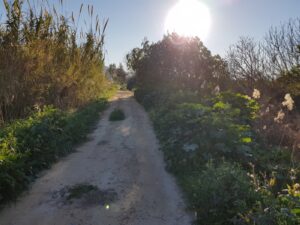 Terreno rural en venta en Huerta, Torreaguera