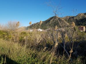 Terreno rural en venta en Huerta, Torreaguera