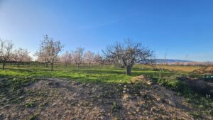 Terreno rural en venta en La Pinilla - Las Palas, Fuente alamo de Murcia