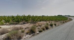 Terreno rural en venta en Las Torres de Cotillas, Las Torres de Cotillas