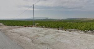 Terreno rural en venta en Las Torres de Cotillas, Las Torres de Cotillas