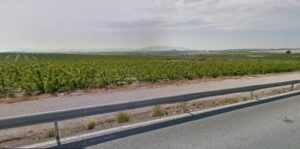 Terreno rural en venta en Las Torres de Cotillas, Las Torres de Cotillas