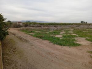 Terreno rural en venta en Librilla, Librilla