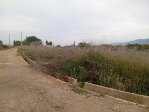 Terreno rural en venta en Librilla, Librilla