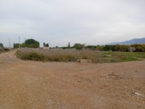 Terreno rural en venta en Librilla, Librilla