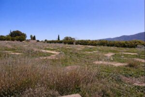 Terreno rural en venta en Librilla, Librilla