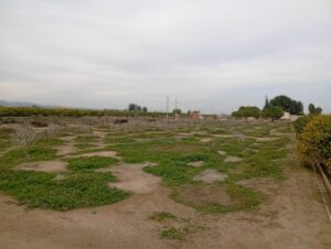 Terreno rural en venta en Librilla, Librilla