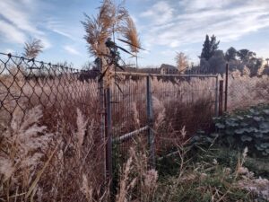 Terreno rural en venta en Lorqui, Lorqui