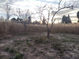 Terreno rural en venta en Lorqui, Lorqui