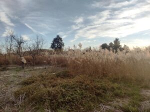 Terreno rural en venta en Lorqui, Lorqui