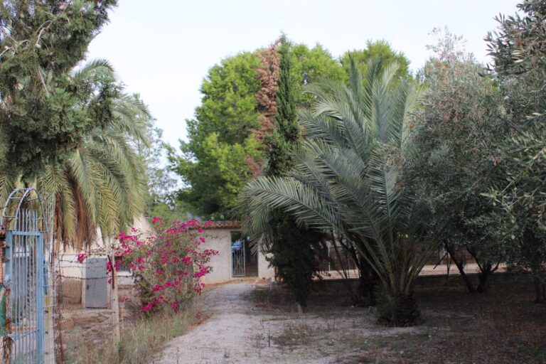 Terreno rural en venta en Los Vientos-Casa Ros, Molina de Segura