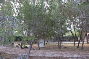 Terreno rural en venta en Los Vientos-Casa Ros, Molina de Segura