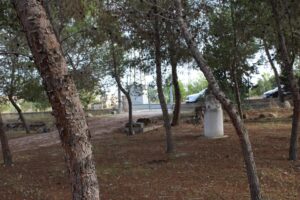Terreno rural en venta en Los Vientos-Casa Ros, Molina de Segura