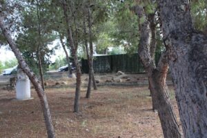 Terreno rural en venta en Los Vientos-Casa Ros, Molina de Segura
