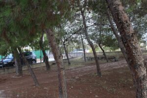 Terreno rural en venta en Los Vientos-Casa Ros, Molina de Segura
