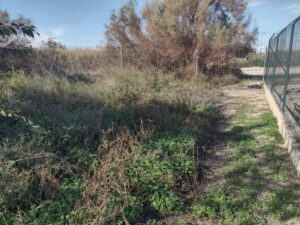 Terreno rural en venta en Machacanta, Torreaguera