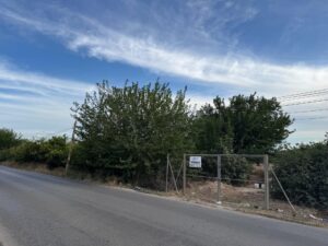 Terreno rural en venta en Molins-Campaneta-San Bartolomé, Orihuela