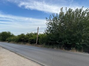 Terreno rural en venta en Molins-Campaneta-San Bartolomé, Orihuela