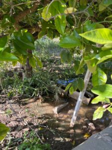 Terreno rural en venta en Monteagudo, Murcia
