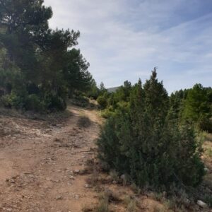 Terreno rural en venta en Nerpio, Nerpio