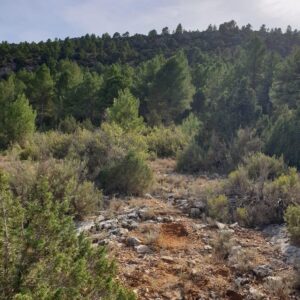 Terreno rural en venta en Nerpio, Nerpio