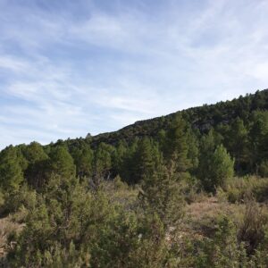 Terreno rural en venta en Nerpio, Nerpio