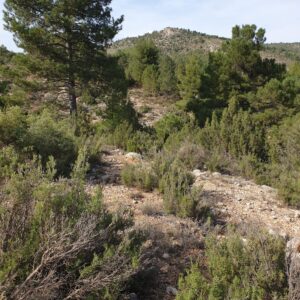 Terreno rural en venta en Nerpio, Nerpio