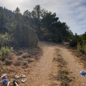 Terreno rural en venta en Nerpio, Nerpio