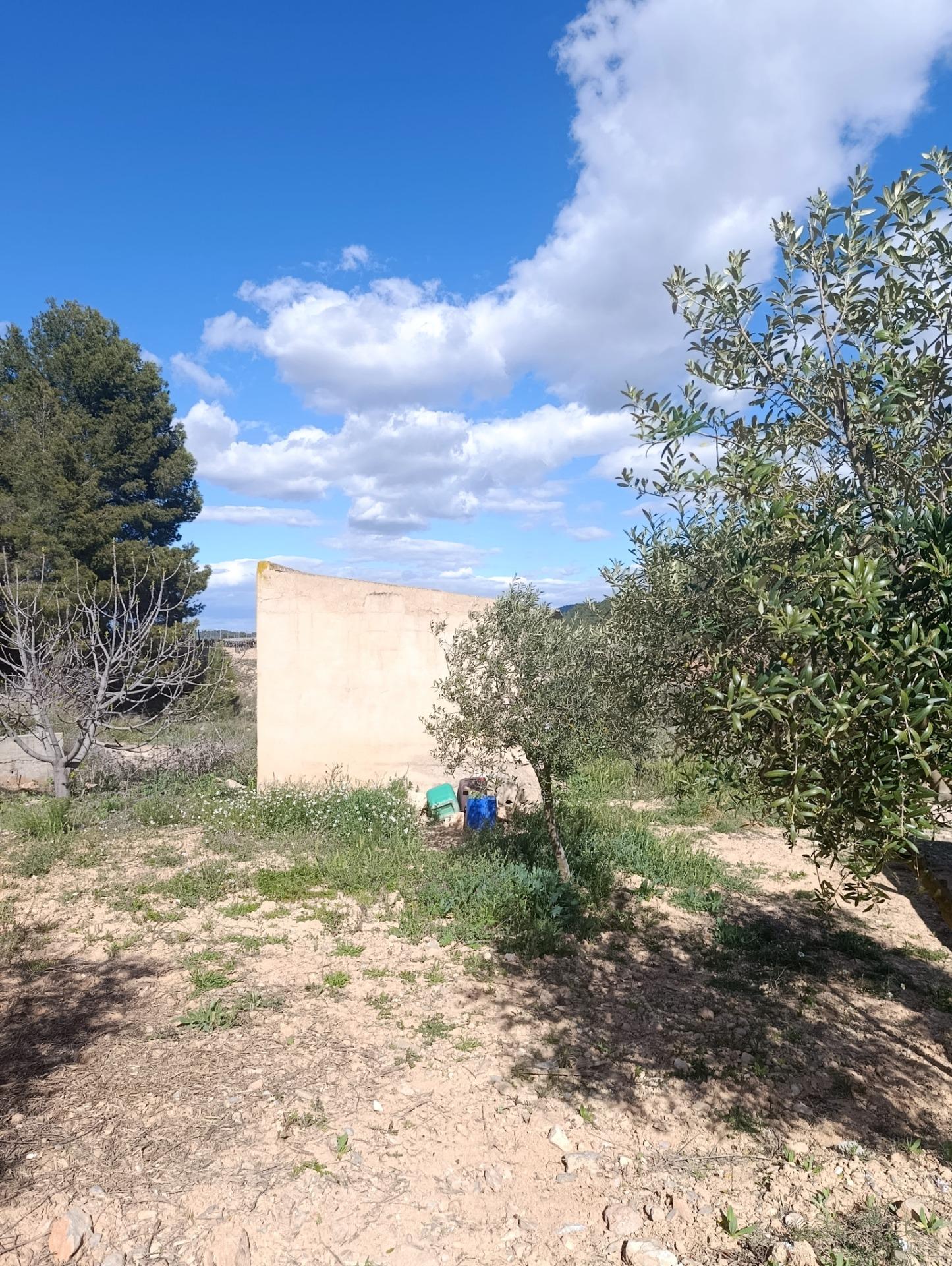 Terreno rural en venta en Noroeste  Murcia  – Cehegín, Cehegin