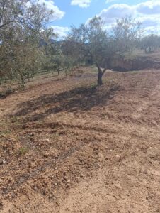 Terreno rural en venta en Noroeste  Murcia  - Cehegín, Cehegin