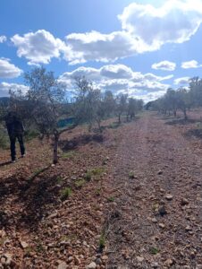 Terreno rural en venta en Noroeste  Murcia  - Cehegín, Cehegin