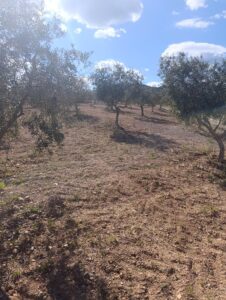 Terreno rural en venta en Noroeste  Murcia  - Cehegín, Cehegin