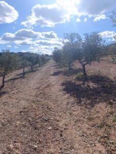 Terreno rural en venta en Noroeste  Murcia  - Cehegín, Cehegin