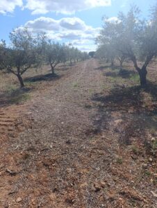 Terreno rural en venta en Noroeste  Murcia  - Cehegín, Cehegin